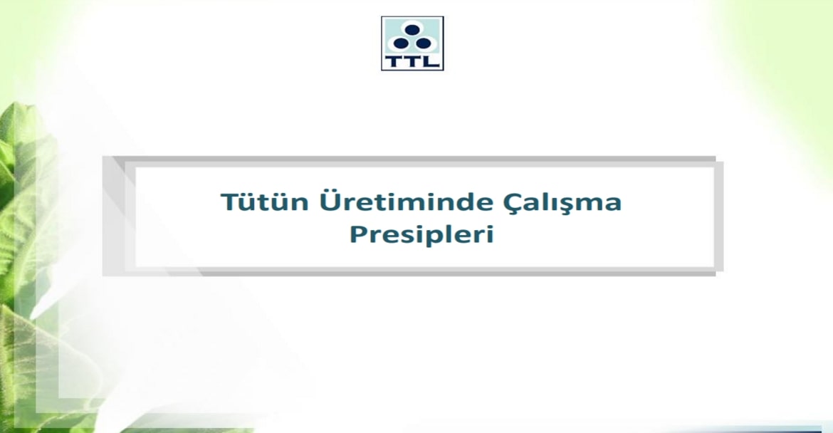 Tütün Üretiminde Çalışma Prensipleri