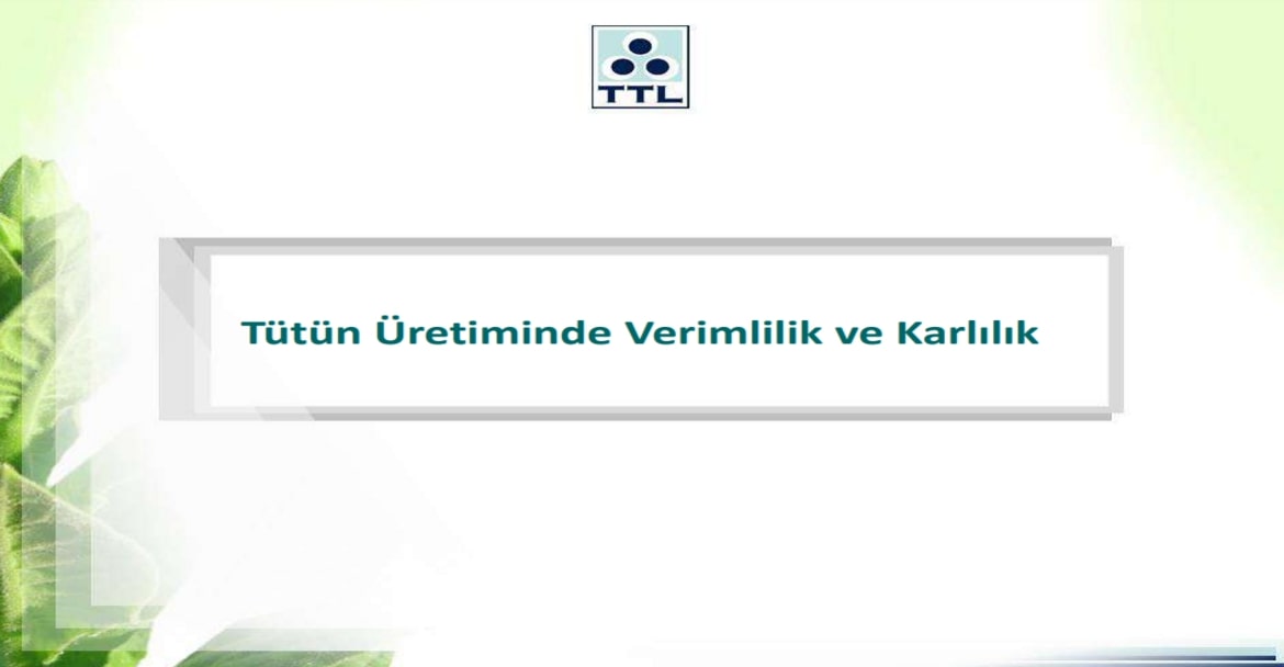 Tütün Üretiminde Verimlilik ve Karlılık